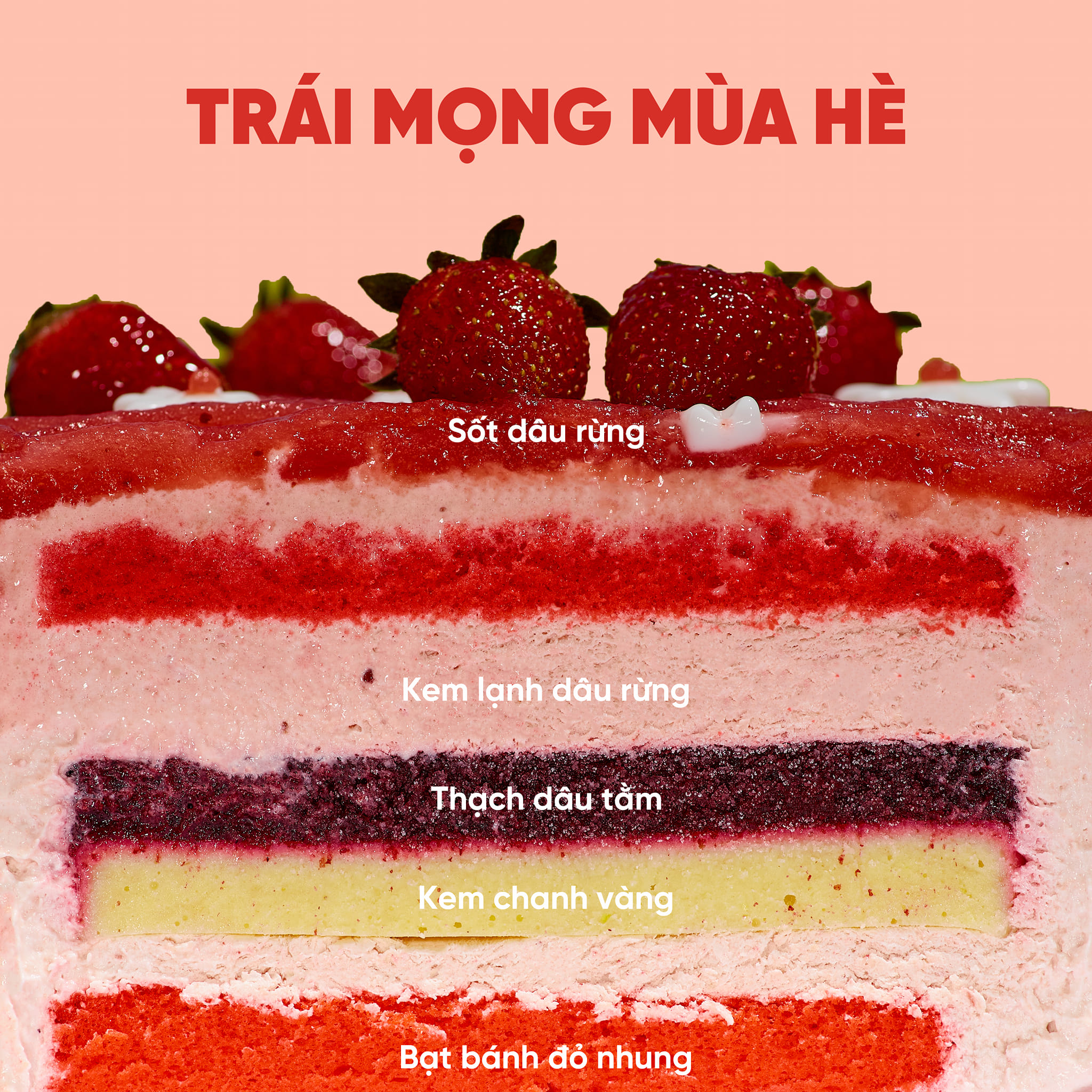banh-kem-lanh-tahu-dau-tay.jpg