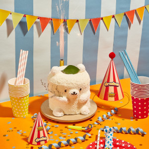 Chú gấu trắng - White Bear