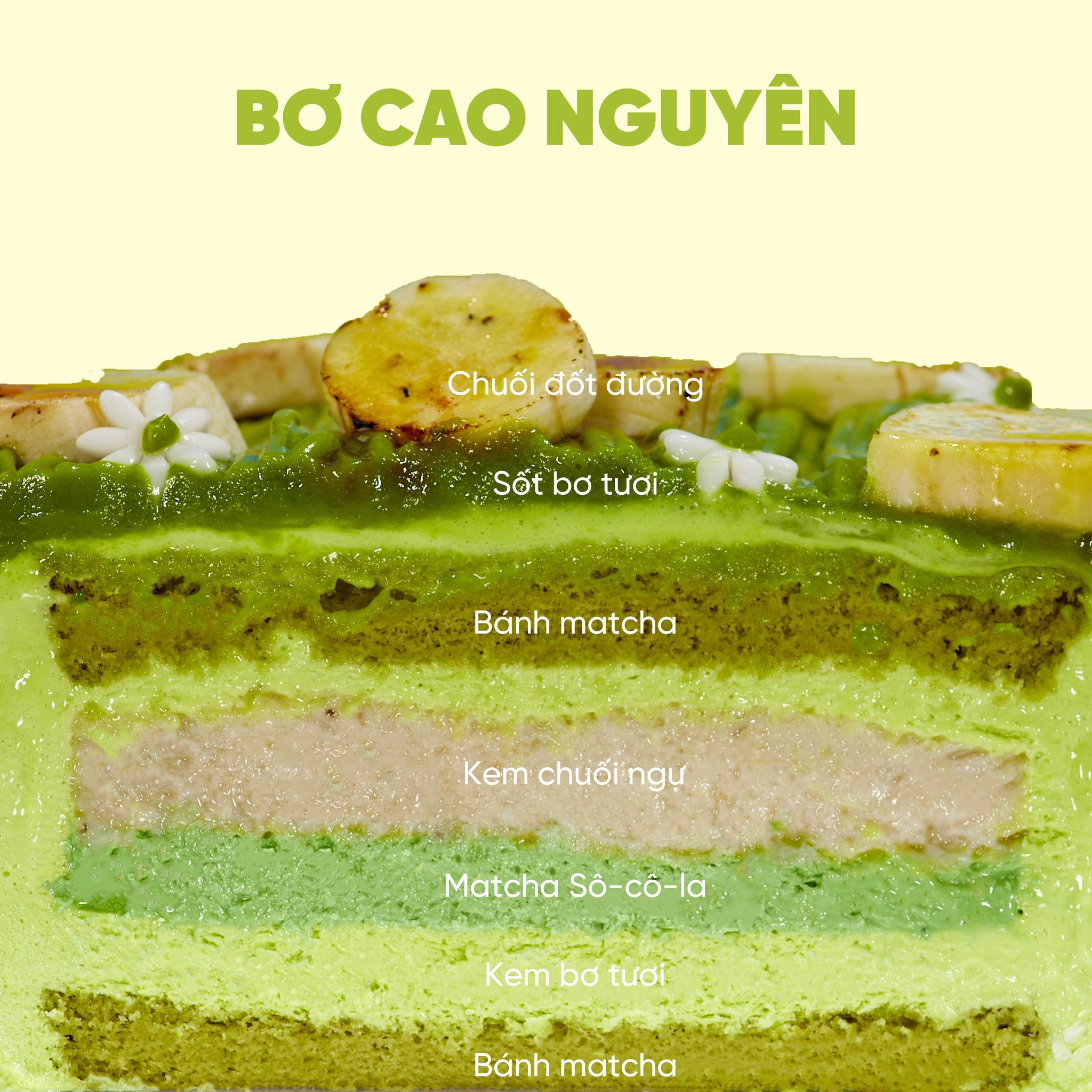 banh-kem-lanh-trai-cay-vi-bo-cao-nguyen