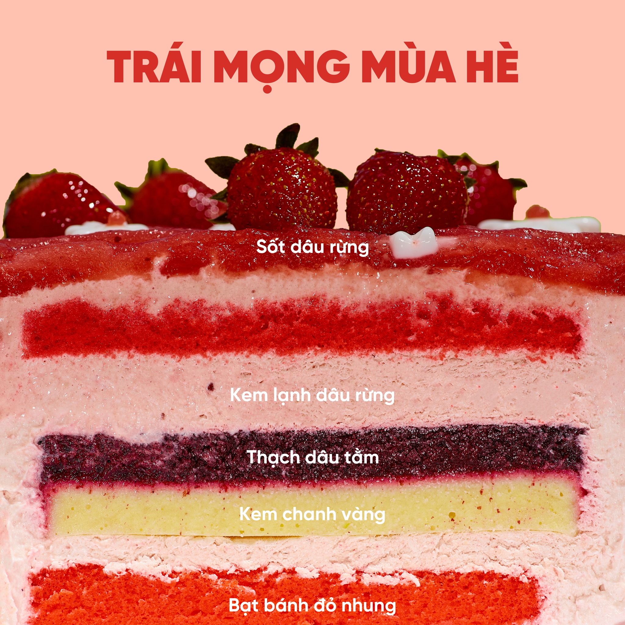 banh-kem-lanh-trai-cay-vi-dau