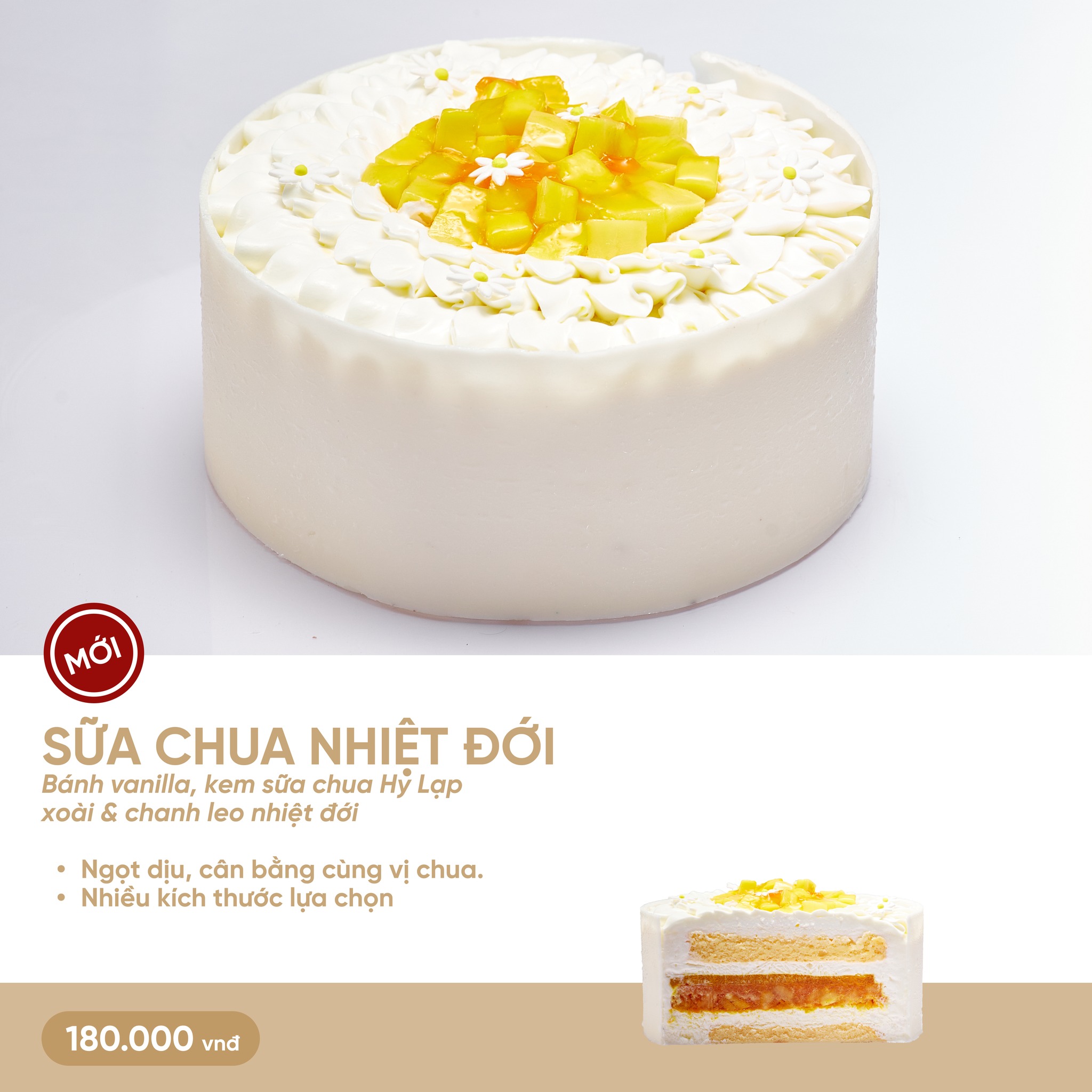 banh-kem-sua-chua-nhiet-doi