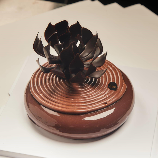 chocolate-entremet